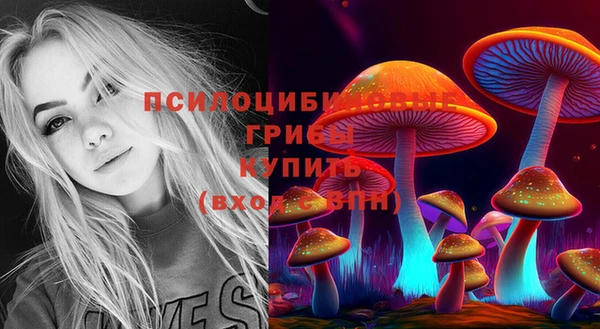 мескалин Арсеньев