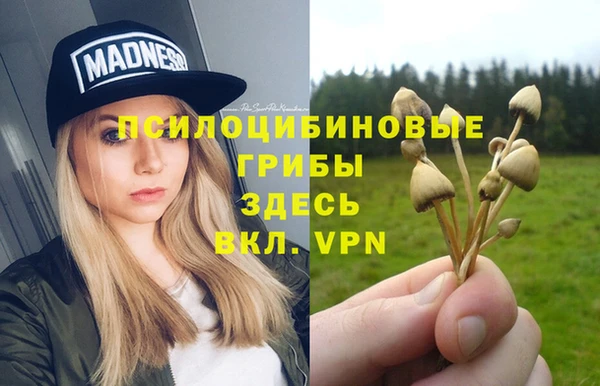 соль курить ск Аркадак