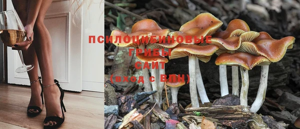мескалин Арсеньев